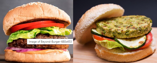 Burger animale VS burger Vegetale